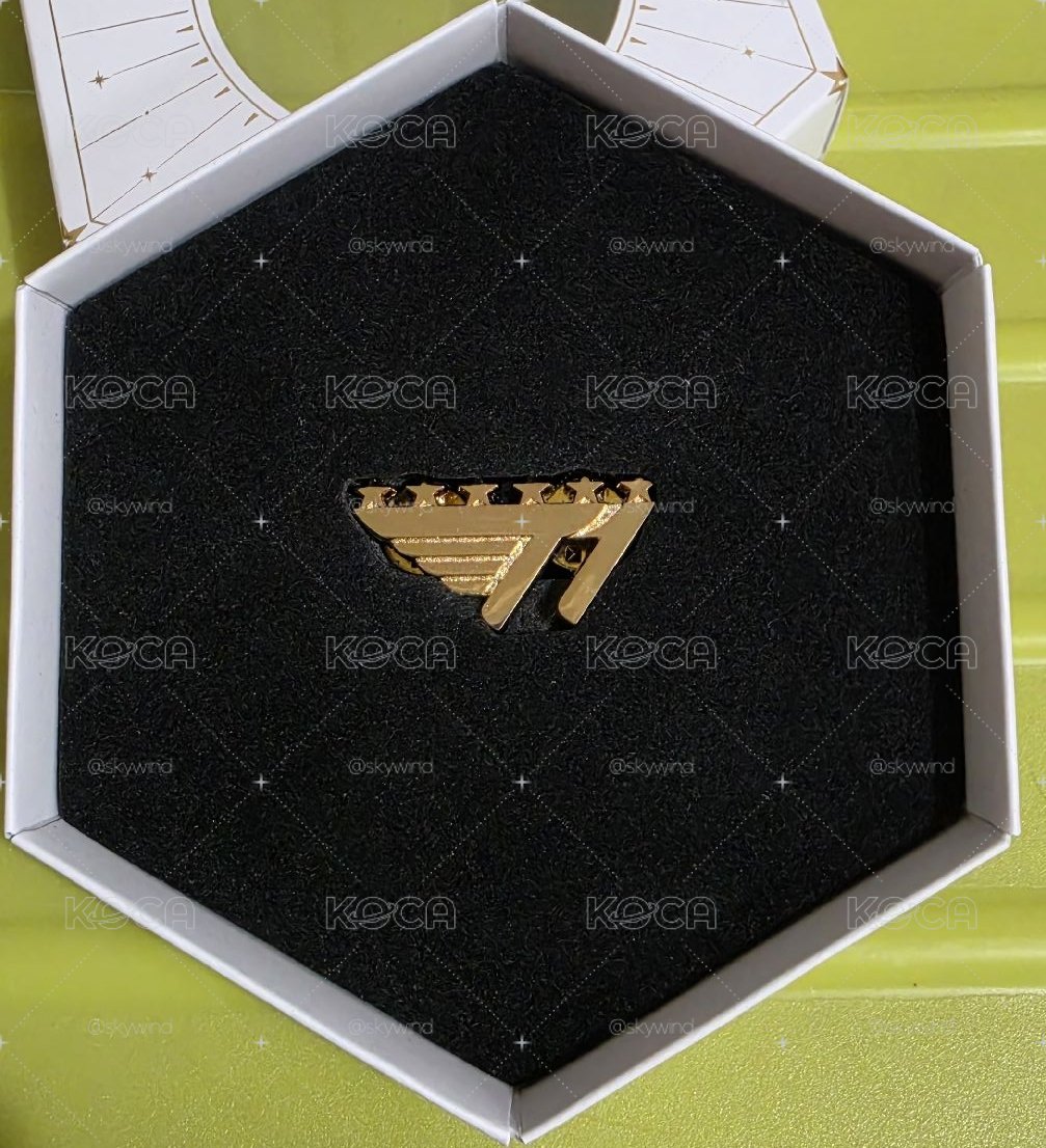 T1 S15 V6冠軍徽章