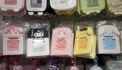 三麗鷗 Sanrio 偶像應援卡冊 布丁狗 大耳狗 美樂蒂 彼安諾