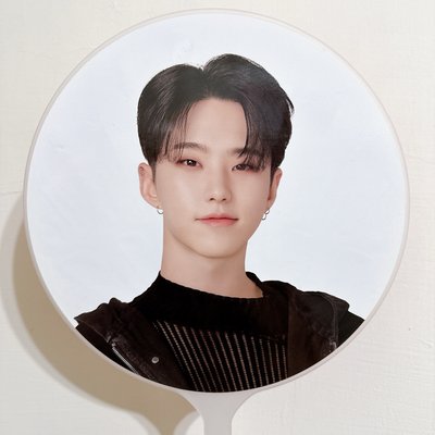 Seventeen 權順榮 大扇組