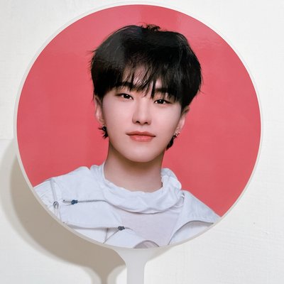 Seventeen 權順榮 大扇組