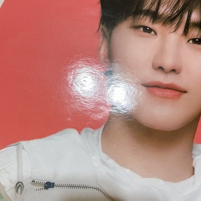 Seventeen 權順榮 大扇組