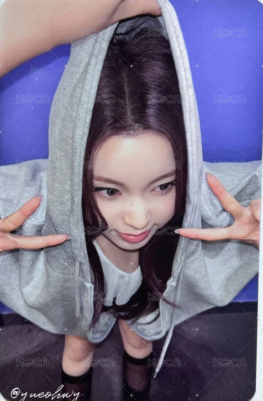 圭
