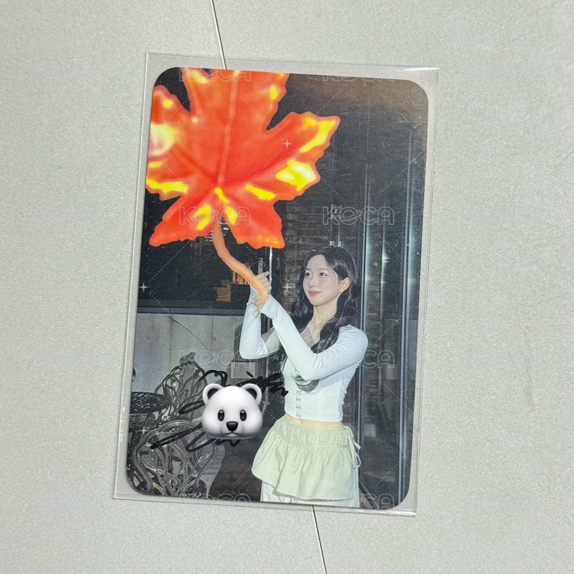 楓葉簽卡