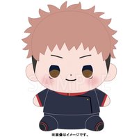 坐姿娃 虎杖悠仁