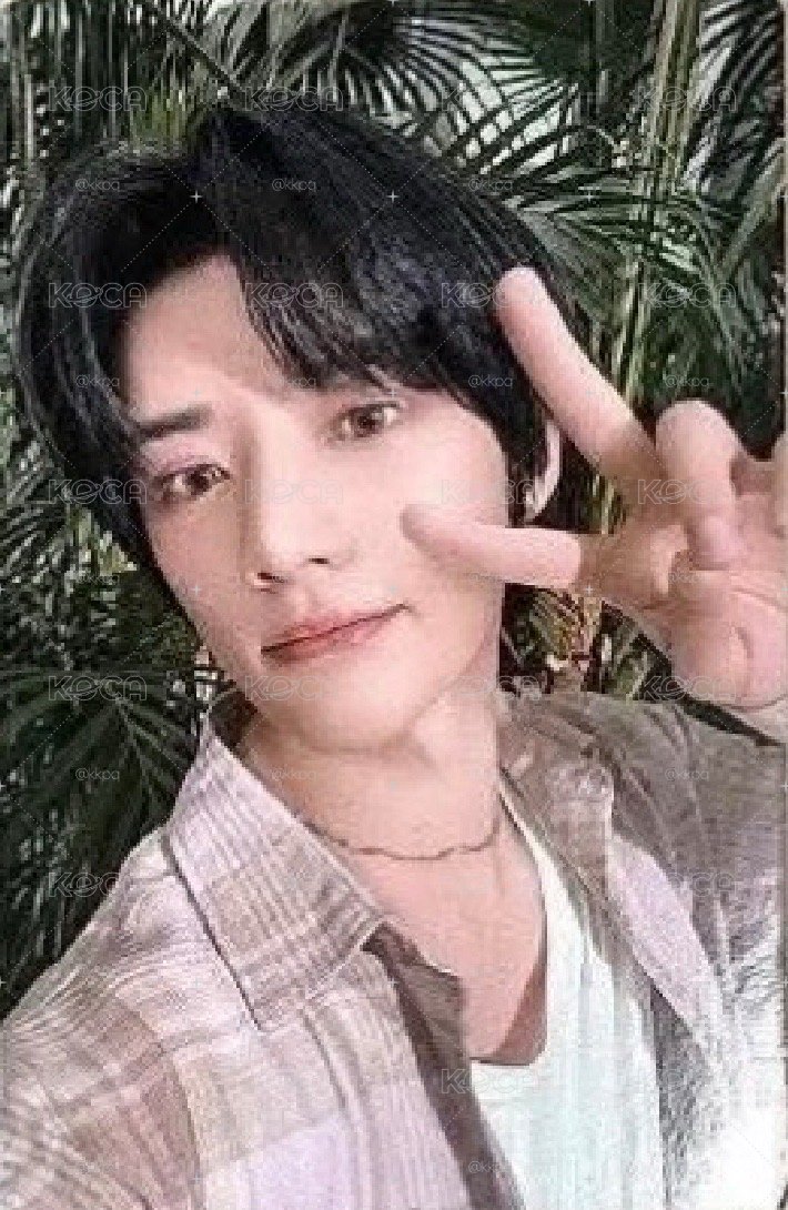 kms中背圭