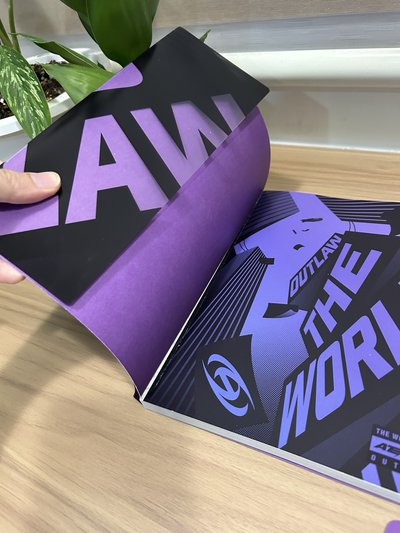 The world ep2 outlaw