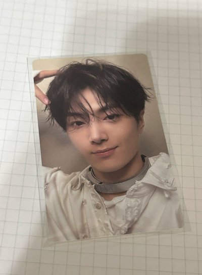 幸福就是喵喵又汪汪啊