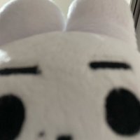 我寶貝是小兔子