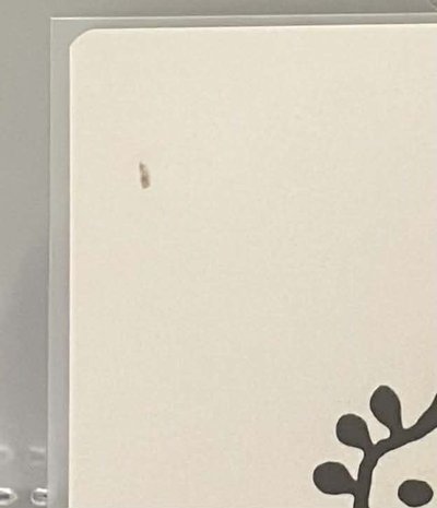 開除優秀員工鳥店凡🦅