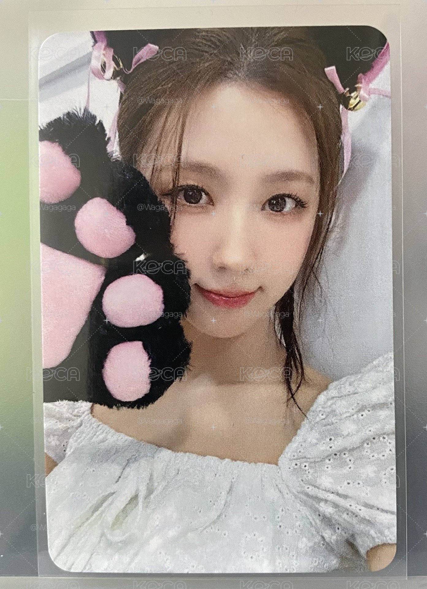 We Muvve3貓抓 麵