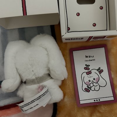 Linefriends 聯名員盒娃（綁卡）