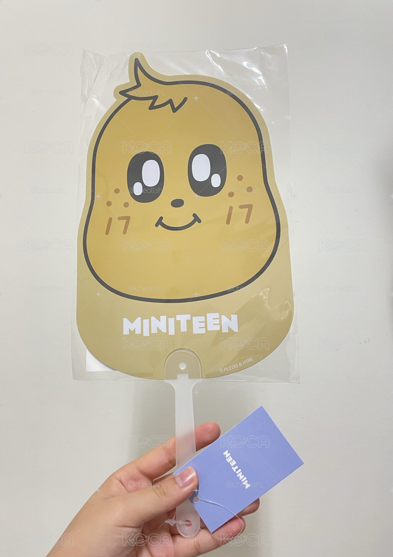 miniteen奎大扇