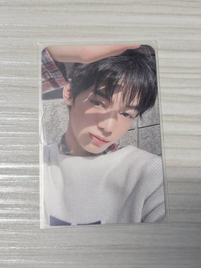 Tws 韓振 迷一 小卡