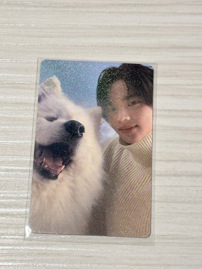 Tws 申惟 單曲 小卡