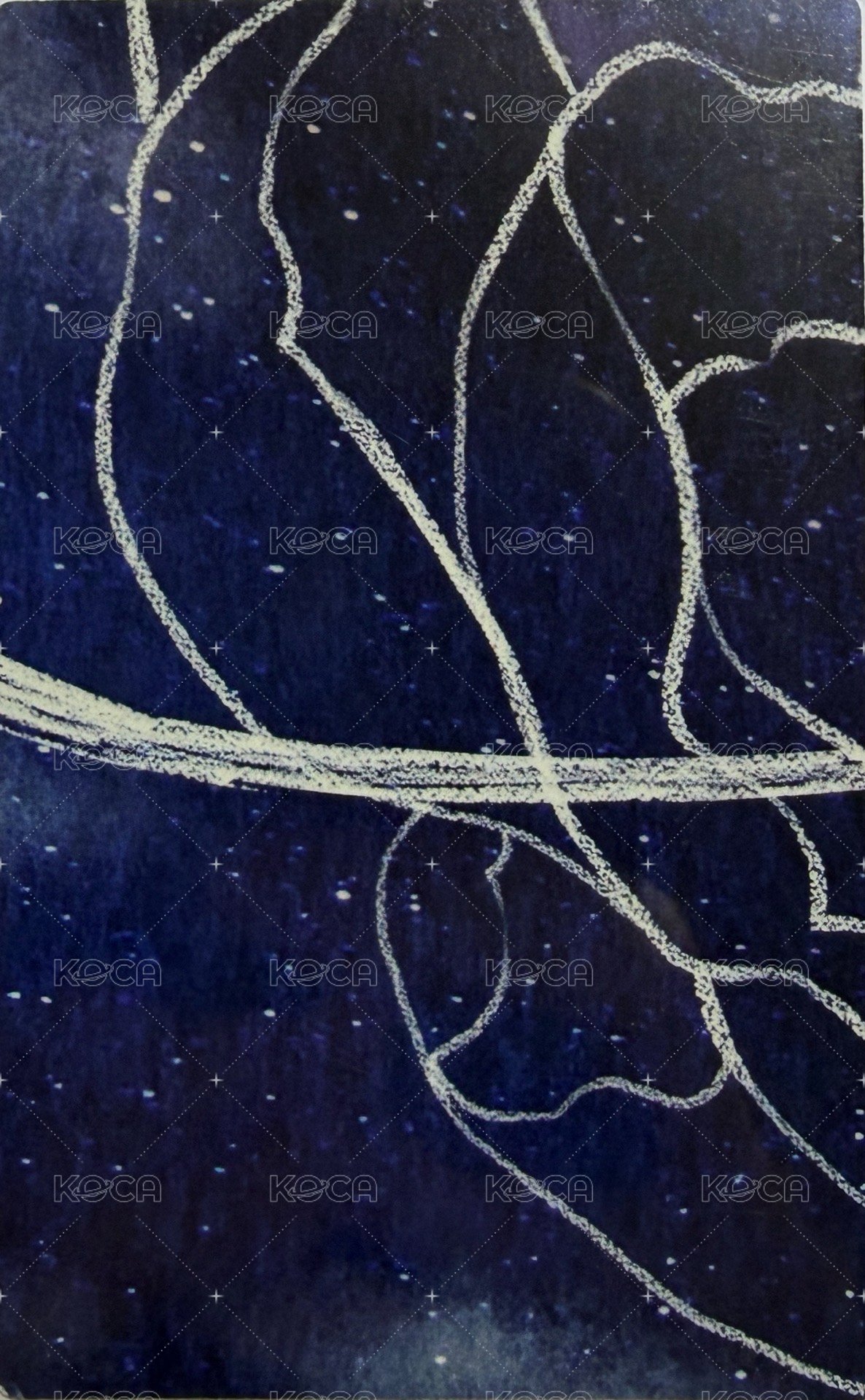 正二 專輯卡  背面