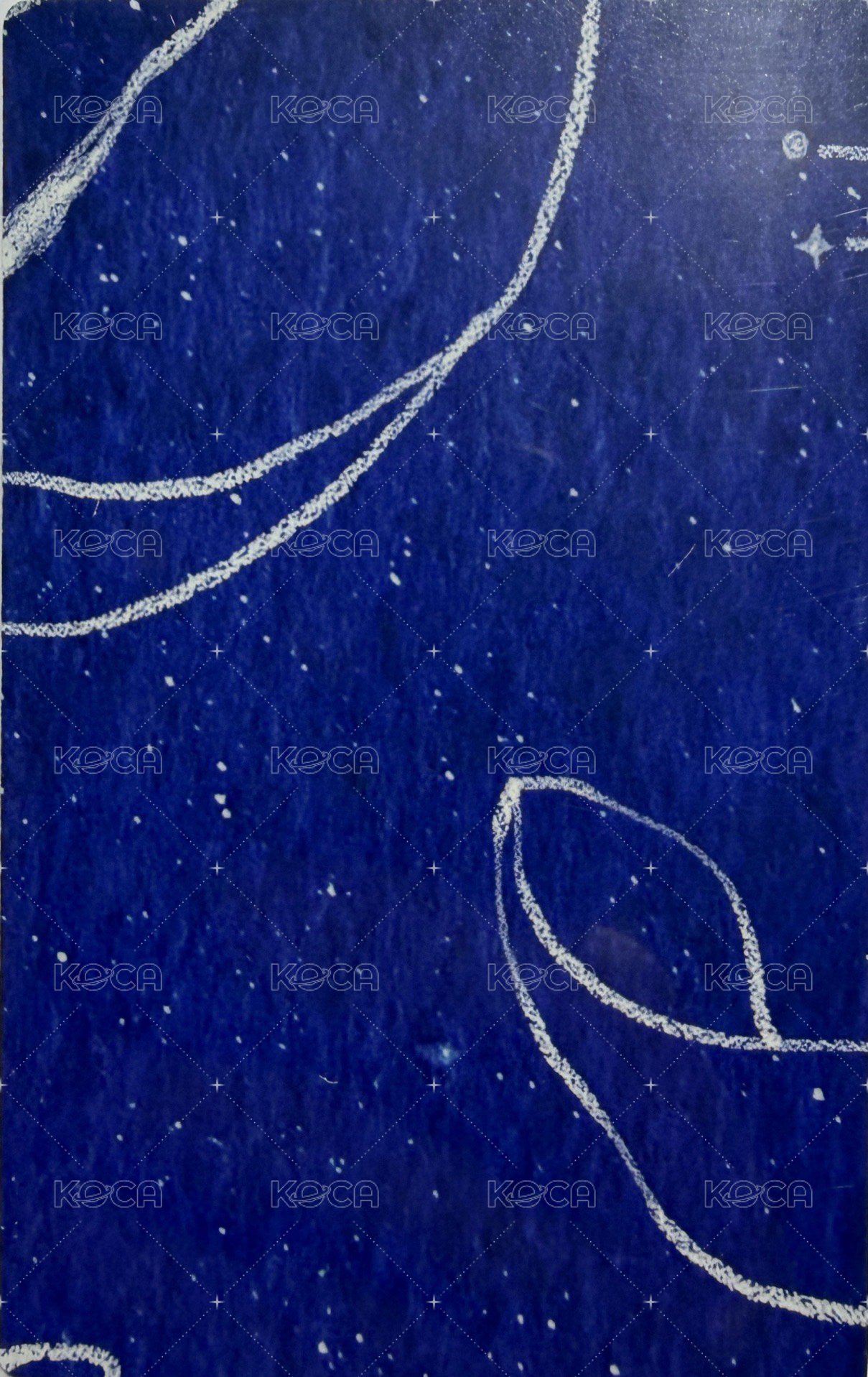 正二 專輯卡  背面