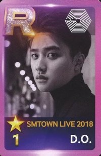2018 SMT 入場卡 / 場限卡 