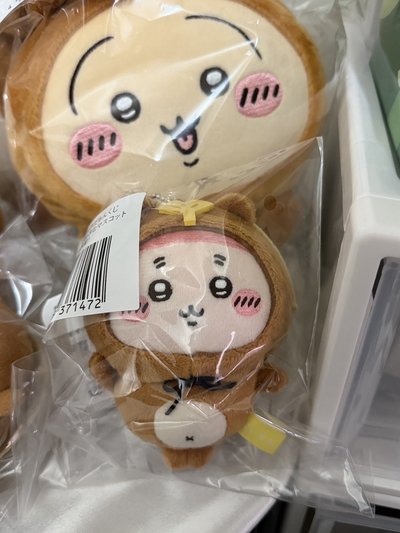 （現貨）狸貓一番賞 吊娃 C賞