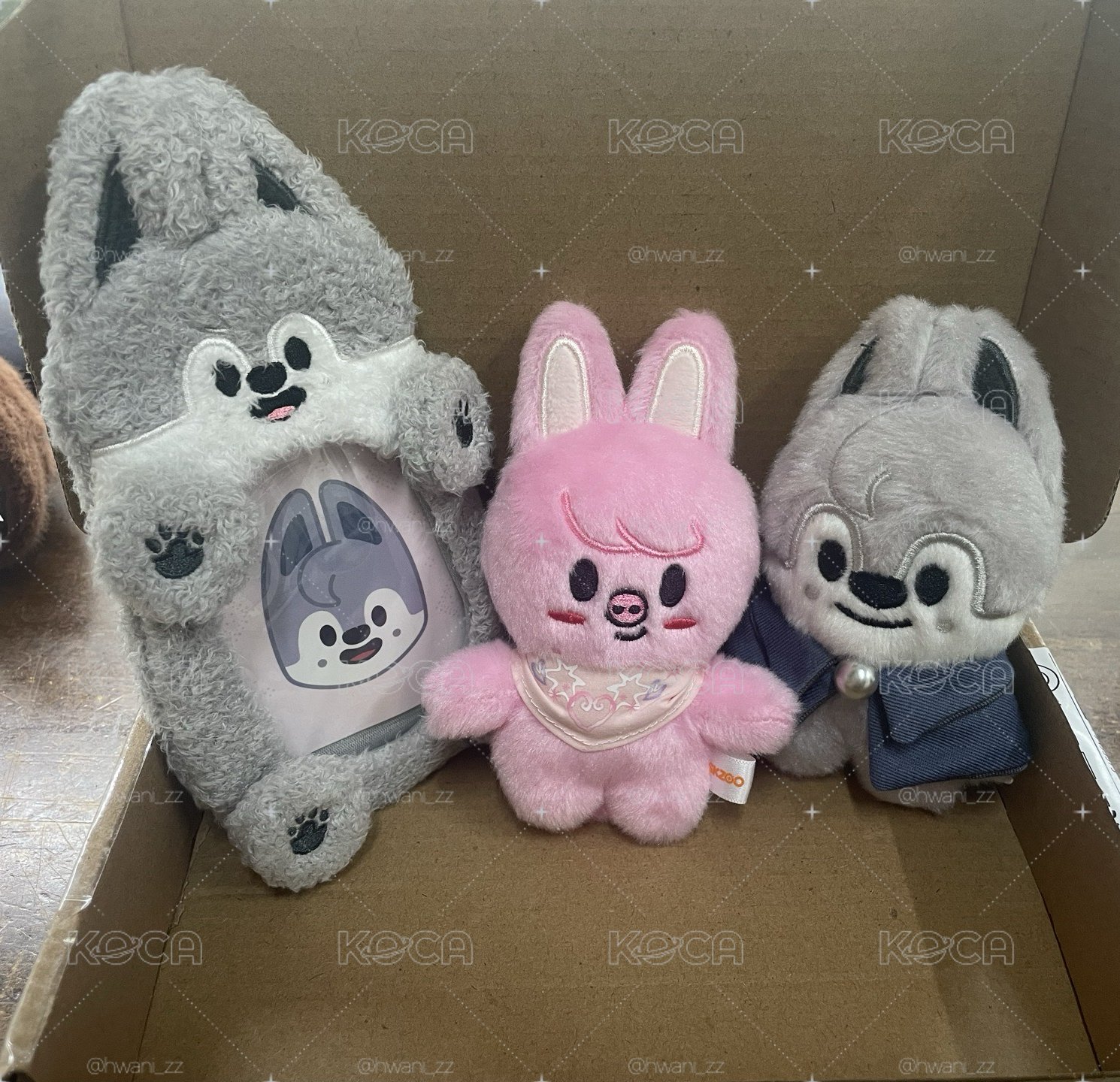 SKZ 盤出