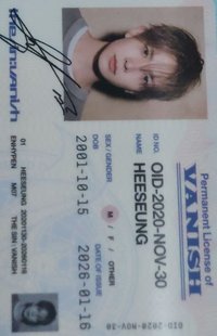 迷七 固配 專輯卡 ID卡