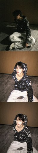 芝心是小貓
