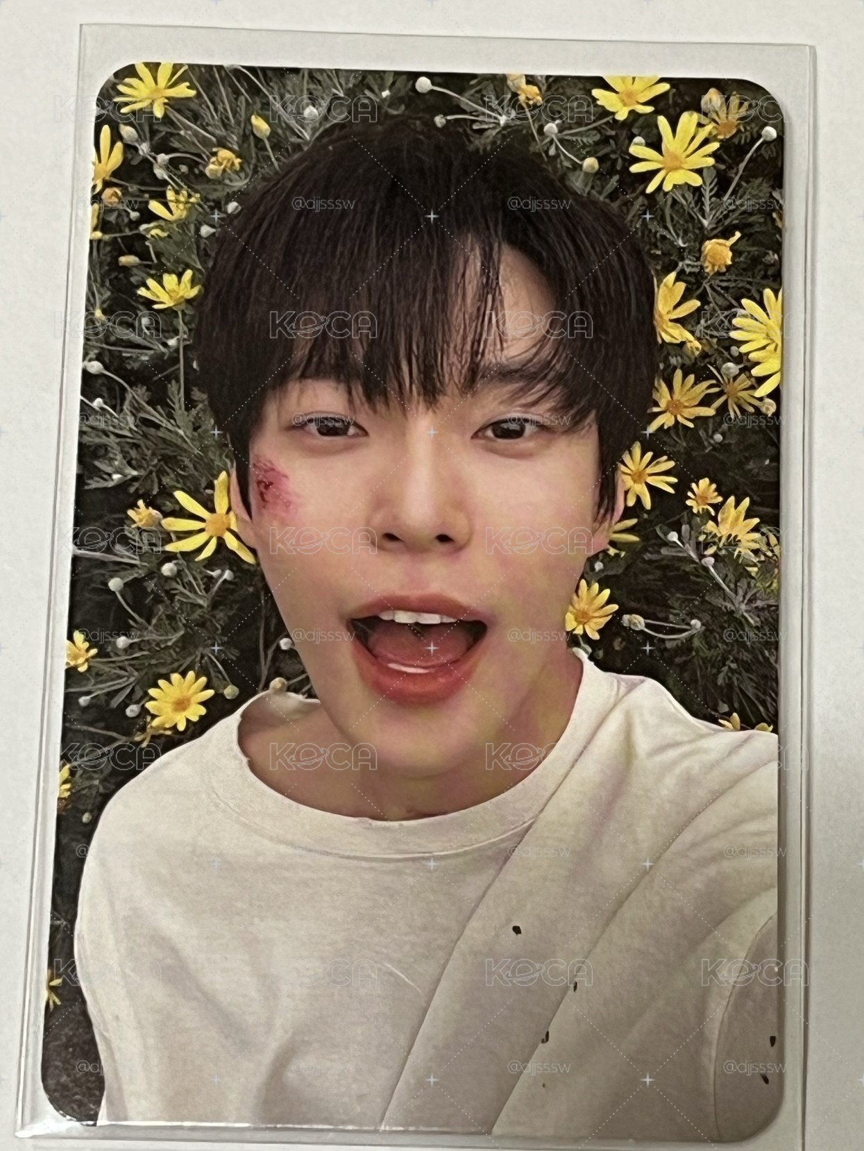 道英 solo1 青春的泡沫 digipack ver. 專卡