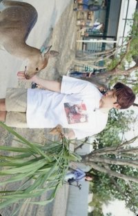 爬梯子2 mumo 特典卡 