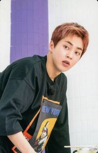 爬梯子2 mumo 特典卡 