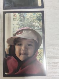 抿嘴寶寶玟🐶(大損)