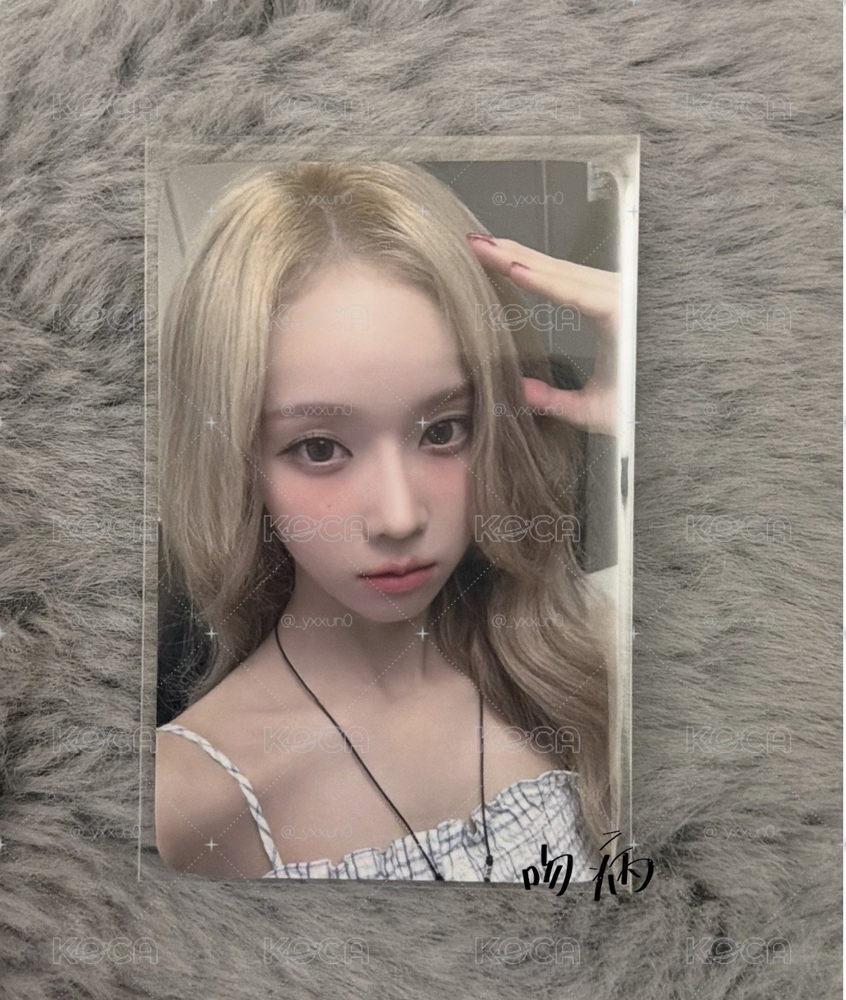 𝗪𝗵𝗶𝗽𝗹𝗮𝘀𝗵 𝗲𝗹幸運 狗耳冬⭒₊ ݁.⊹˚   