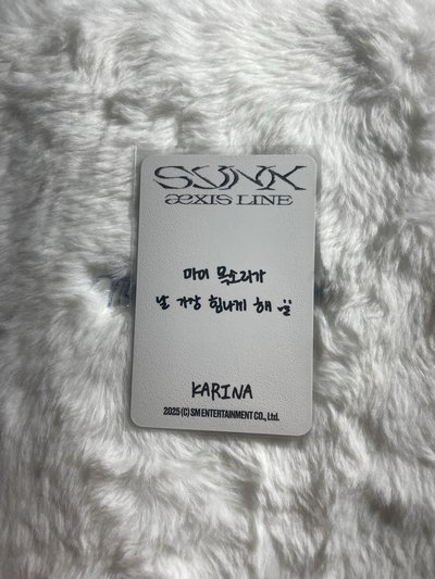 Karina 韓文手寫卡背 三巡 周邊卡 首爾場週衣服柚