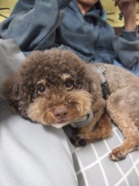 유진