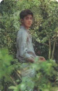 自然樂園 代言卡 