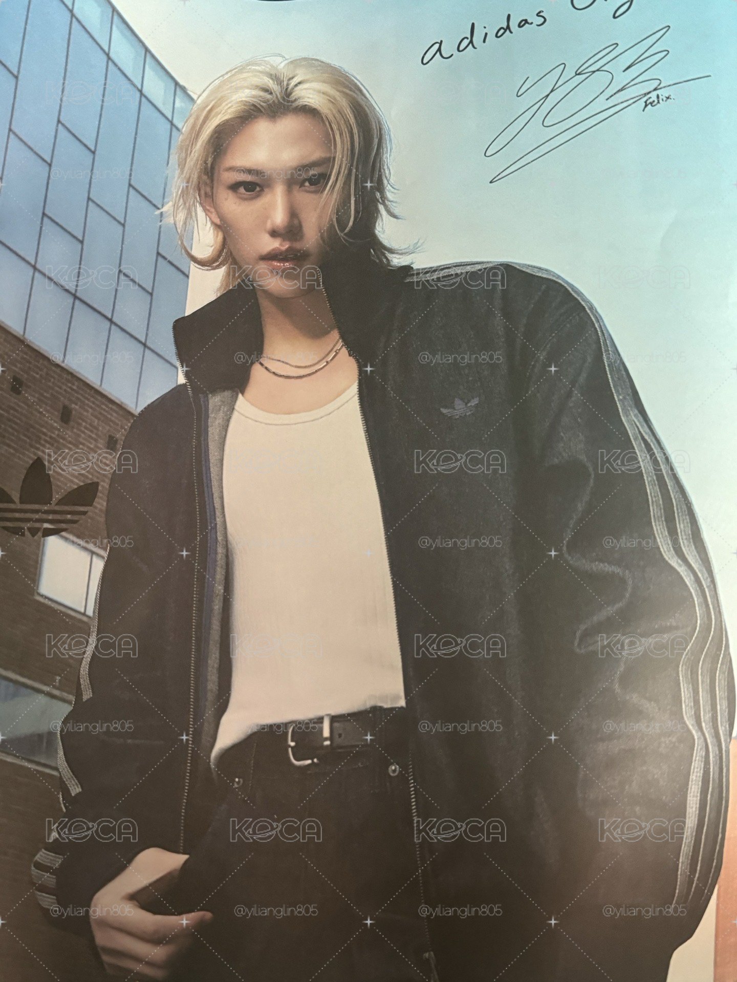 adidas felix畫報