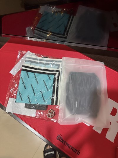 *賠售求回血*權志龍G-DRAGON韓國安可場手燈盆栽套+一般場絲巾