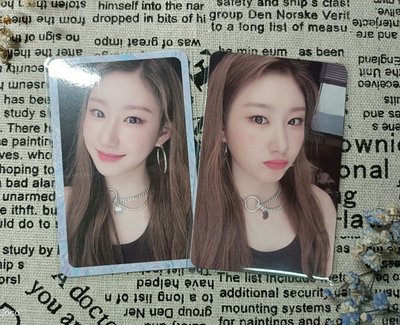 ♪美麗領子盤♪