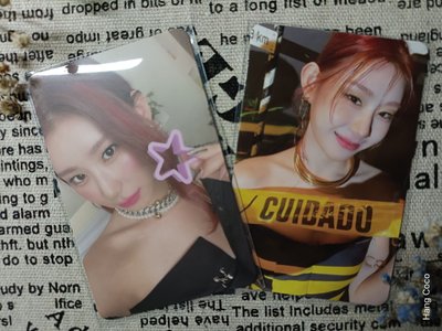 ♪美麗領子盤♪