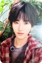 26新音 榮耀 SR 隨機卡 