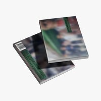 迷二 專輯 BRIDGE ver.