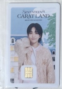 2024 CARATLAND交通卡