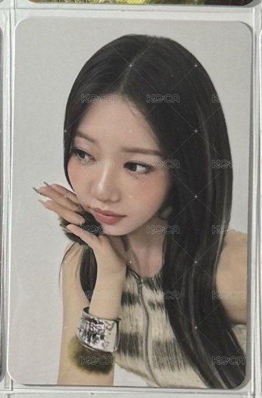 二星茶