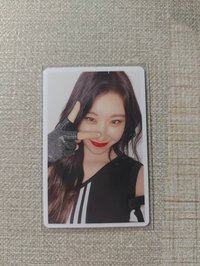 日專比YA領(可單出)