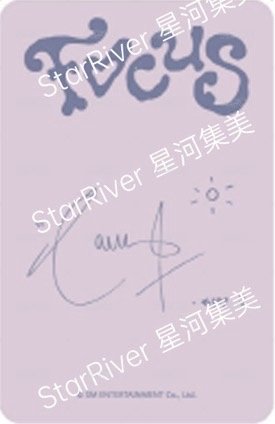 Focus sr 線下4.0 簽售卡 C ver. 背面