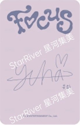 Focus sr 線下4.0 簽售卡 C ver. 背面