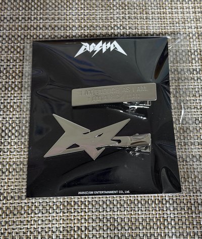 Rich Man 快閃 髮夾柚（整組全新未拆）