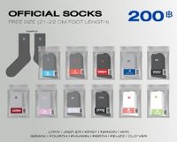 Riser 26年演唱會 襪子