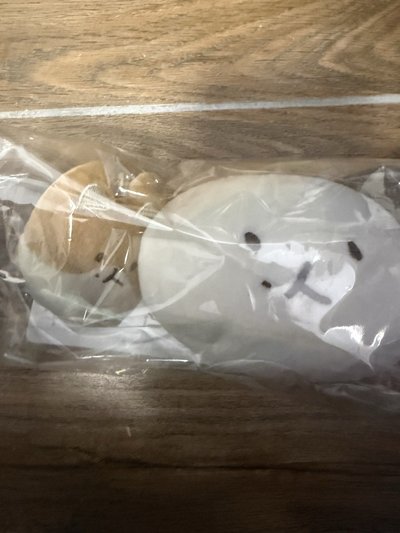 二手 特來騎 白糰中娃+吊娃（未下水都有使用痕跡）