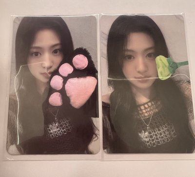 貓抓賢、拿花賢～