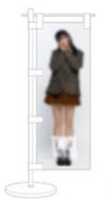 六巡 新國立 線上一番賞 D賞 旗子 定延