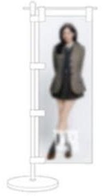 六巡 新國立 線上一番賞 D賞 旗子 MINA